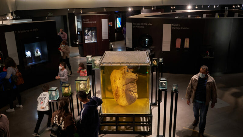 Imagen para Semana de la Ciencia en el Parque de las Ciencias