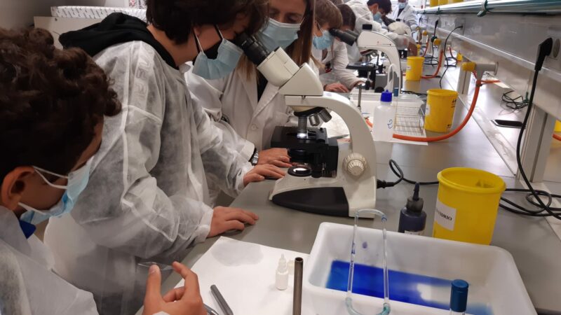 Imagen para Semana de la Ciencia en la Universidad de Jaén