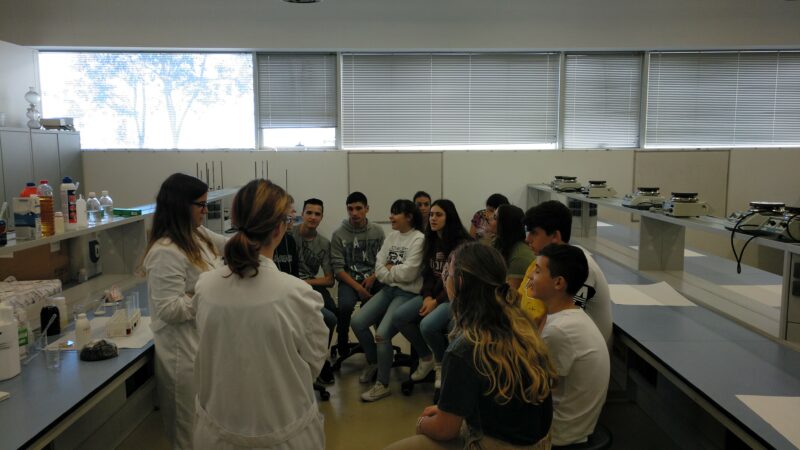 Imagen para Semana de la Ciencia y la Tecnología – Facultad de Ciencias de la Universidad de Cádiz