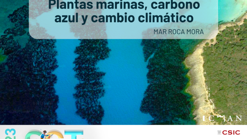 Imagen para Semana de la Ciencia en el ICMAN-CSIC