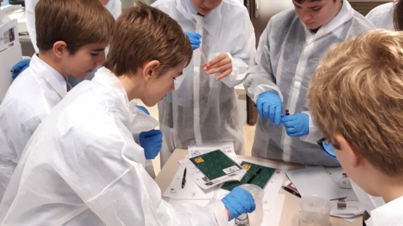 Imagen para Semana de la Ciencia de la Universidad de Jaén