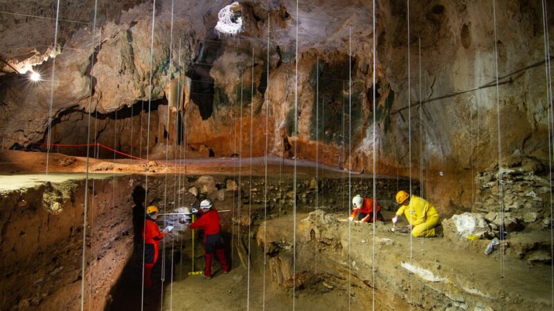 Imagen para Semana de la Ciencia en la Cueva de Nerja 2023