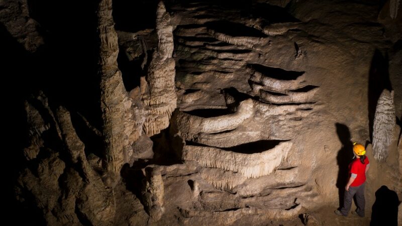 Imagen para Semana de la Ciencia en la Cueva de Nerja 2023