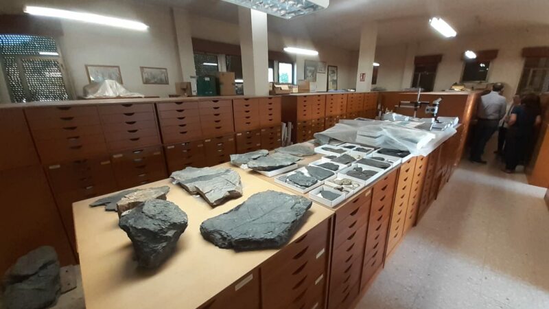 Imagen para Semana de la Ciencia en el Real Jardín Botánico de Córdoba