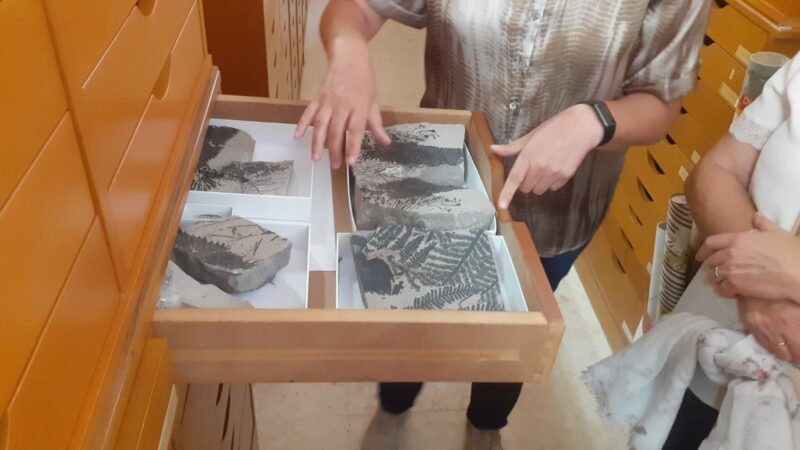 Imagen para Semana de la Ciencia en el Real Jardín Botánico de Córdoba