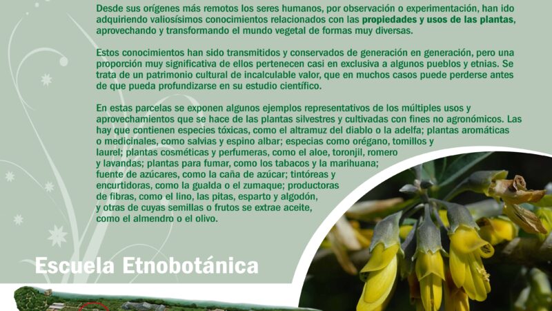 Imagen para Semana de la Ciencia en el Real Jardín Botánico de Córdoba