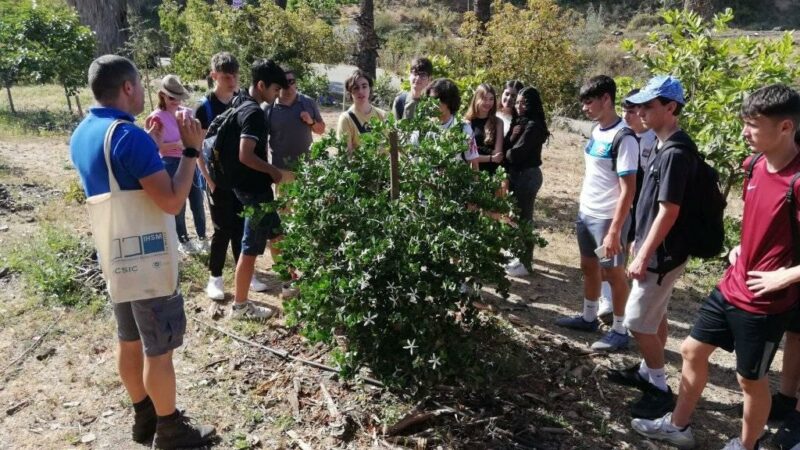 Imagen para Semana de la Ciencia en el Instituto de Hortofruticultura Subtropical y Mediterránea «La Mayora»