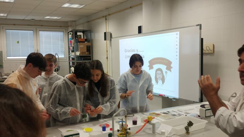 Imagen para Semana de la Ciencia Universidad de Jaén