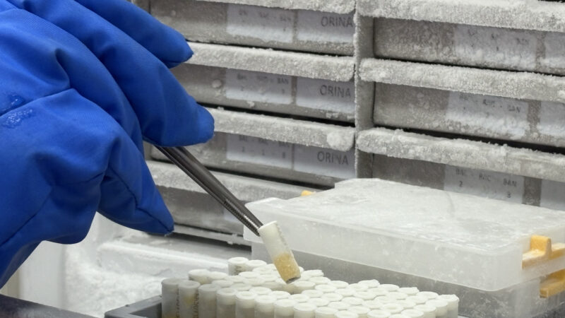 Imagen para Semana de la Ciencia en el Biobanco del Sistema Sanitario Público de Andalucía