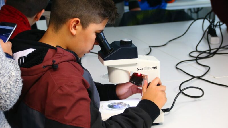 Imagen para Semana de la Ciencia en la Universidad de Granada