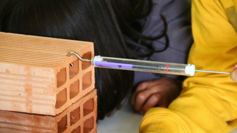 Imagen para Semana de la Ciencia en la Universidad de Granada