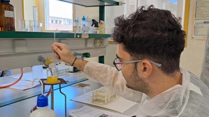 Imagen para Semana de la Ciencia de la Universidad de Almería