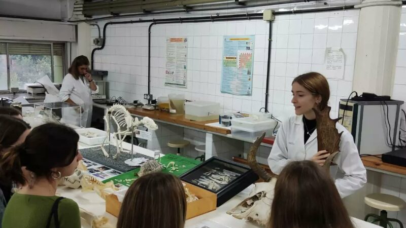 Imagen para Semana de la Ciencia en la Universidad de Sevilla