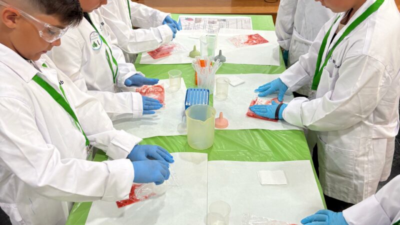 Imagen para Semana de la ciencia con Baylab