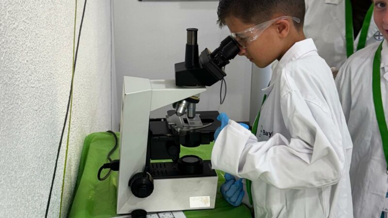 Imagen para Semana de la ciencia con Baylab