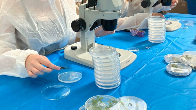Imagen para Semana de la ciencia con Baylab