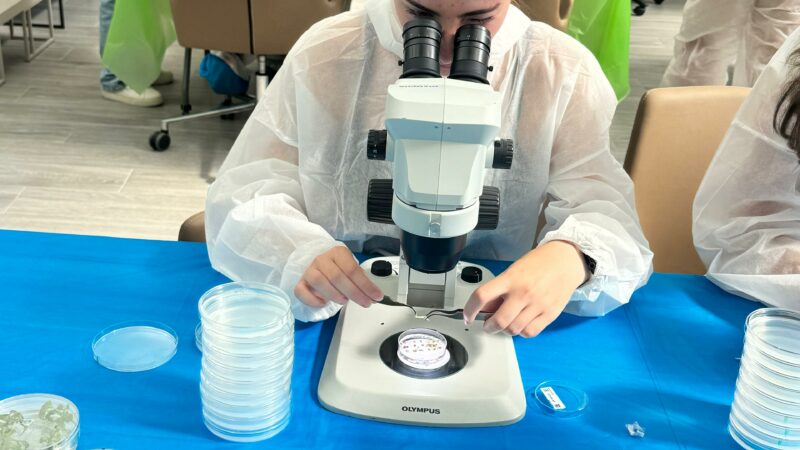 Imagen para Semana de la ciencia con Baylab