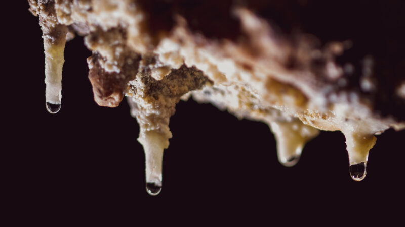 Imagen para Semana de la Ciencia en la Cueva de Nerja 2025