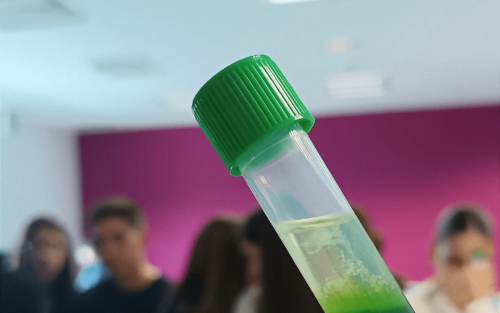 Fotografía ilustrativa del evento