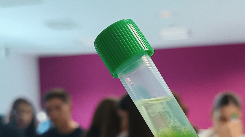 Imagen para Semana de la Ciencia en GENyO