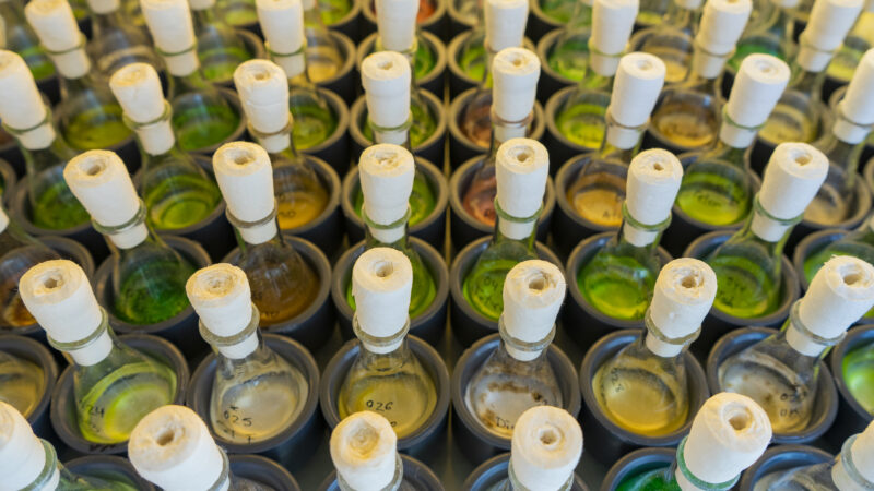 Imagen para Semana de la Ciencia en el ICMAN-CSIC