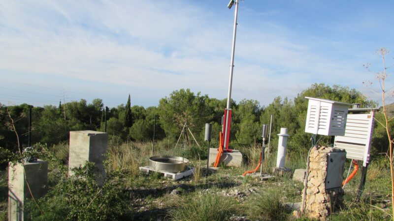 Imagen para Semana de la Ciencia en la Cueva de Nerja 2026