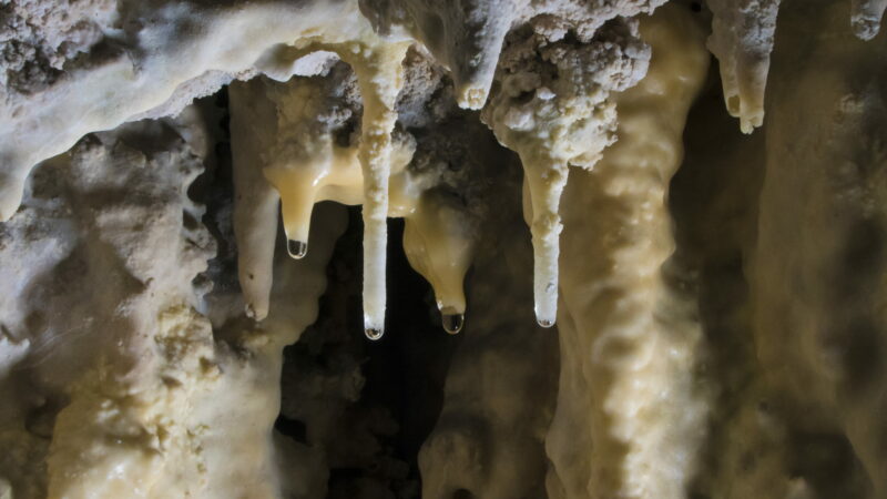 Imagen para Semana de la Ciencia en la Cueva de Nerja 2026