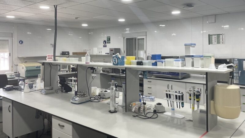 Imagen para Semana de la Ciencia en Baylab: descubre la ciencia detrás de la Agricultura
