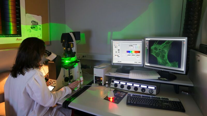Imagen para Semana de la Ciencia de CABIMER