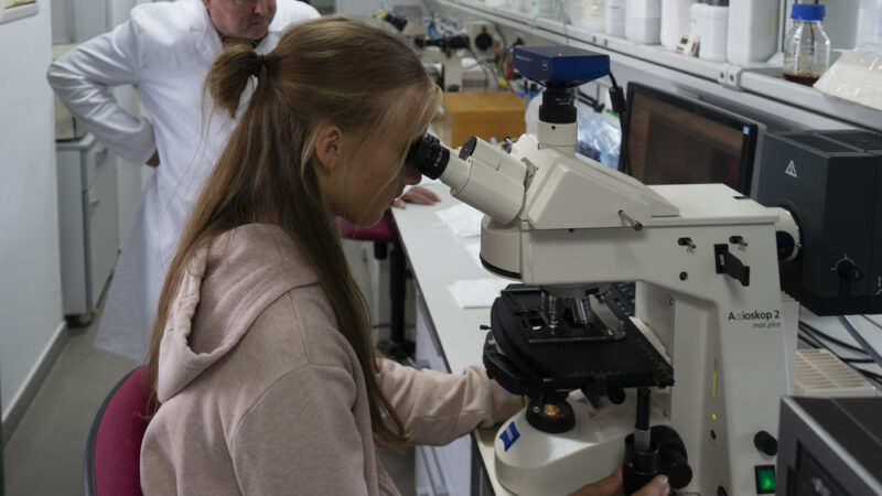 Imagen para Semana de la Ciencia en el ICMAN-CSIC